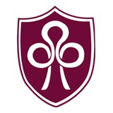 TRINITY DYSLEXIA SCHOOL - Other in Rochester