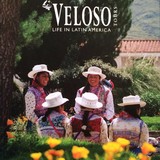 Veloso Tours - Other in London