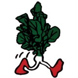 Vincenzo Ltd - Wholesale in London