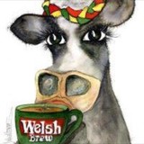 Welsh Brew Tea - Other in Swansea