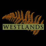 Westland Dental Studio - Dentists in Durham