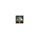Wild & Wondrous Flowers - Florists in Bolton