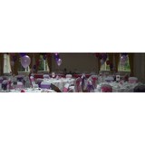 Wild Balloons Ltd - Other in Gillingham