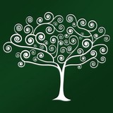 Willow Direct Ltd - Other in Matlock