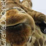 www.GiraffeDog.net - Other in Ashford