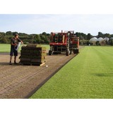 Anco Instant Lawn - Other in Cranbourne West