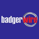 Badger Wire - Other in Auburn