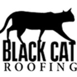 Black Cat Roofing - Other in Glebe