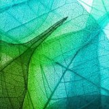 Body Plus - Medical Supplies in Subiaco