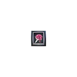 Bouquets Forever - Preserved Wedding Flowers - Other in Hoppers Crossing