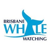 Brisbane Whale Watching - Other in Redcliffe