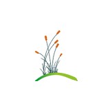 Brookwater Dental Surgery - Dentists in Springfield Lakes