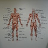 College of Health & Fitness - Other in North Lakes