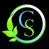 CS Accountants - Accountants in Surfers Paradise