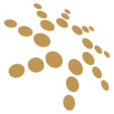 Fairfield R.S.L. Memorial Club - Other in Fairfield