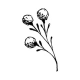 Forrest Centre Reception Centre - Other in Perth