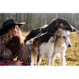 Foxy's Mobile Dog Wash And Grooming Services - Other in Hawthorn