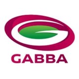 Gabba The - Other in Woolloongabba