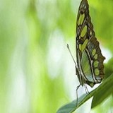 Geo Climate Systems - Other in Cheltenham