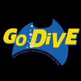 Go Dive Brisbane - Other in Windsor