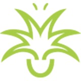 Green Design Plant Hire - Other in Kincumber
