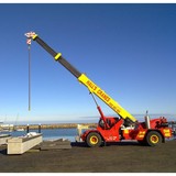 Hall's Cranes - Other in Wingfield