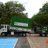 Hunter River Trees Pty Ltd - Other in Maitland