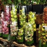 In Full Bloom - Florists in South Melbourne