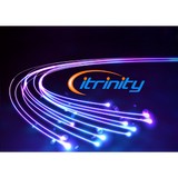 itrinity - Other in West End