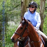 Johnson Equestrian Services - Other in Nelson Bay