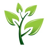 Kids Spot - Speech Therapy in Bondi Junction