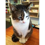 Kleins Perfumery - Other in Fitzroy