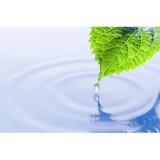 Leaf Landscapes Pty Ltd - Other in Mona Vale