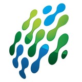 Mangano IT Solutions - Other in Windsor