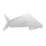 Mulloway Studio - Architects in Adelaide