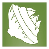 Nindethana Seed Service Pty Ltd - Other in Albany