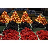 Paddington Markets - Other in Paddington