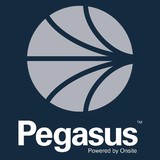 Pegasus Survey & Drafting - Other in Singleton
