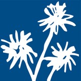 Pinetrees Lord Howe Island Travel Pty Ltd - Travel Agents in Sydney