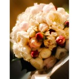 Premier Images - Wedding in Adelaide