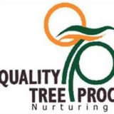 Quality Tree Procedures - Other in Stapylton