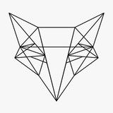 Redfox Media Pty Ltd - Web Design & Development in Crows Nest