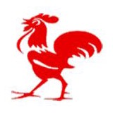 Rudi Rooster Poultry - Other in Wangara