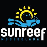 Sunreef Scuba Diving Services - Other in Mooloolaba