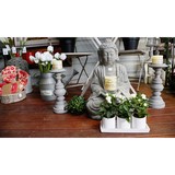 Tahmoor Garden Centre - Other in Bargo