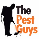 The Pest Guys - Other in Malaga