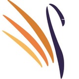 The Swann Group Pty Ltd - Other in Melbourne