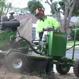 Tidy Tree Work - Other in Pennant Hills