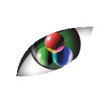 Visual Focus - Other in Toowoomba