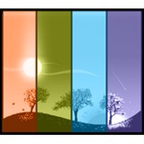 4 Seasons Pest Services Pty Ltd - Other in Wallsend